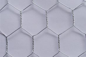 Hexagonal Wire Netting